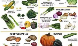 有关蔬菜的英语单词